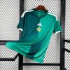 Nordirland Heim 2026 Trikot