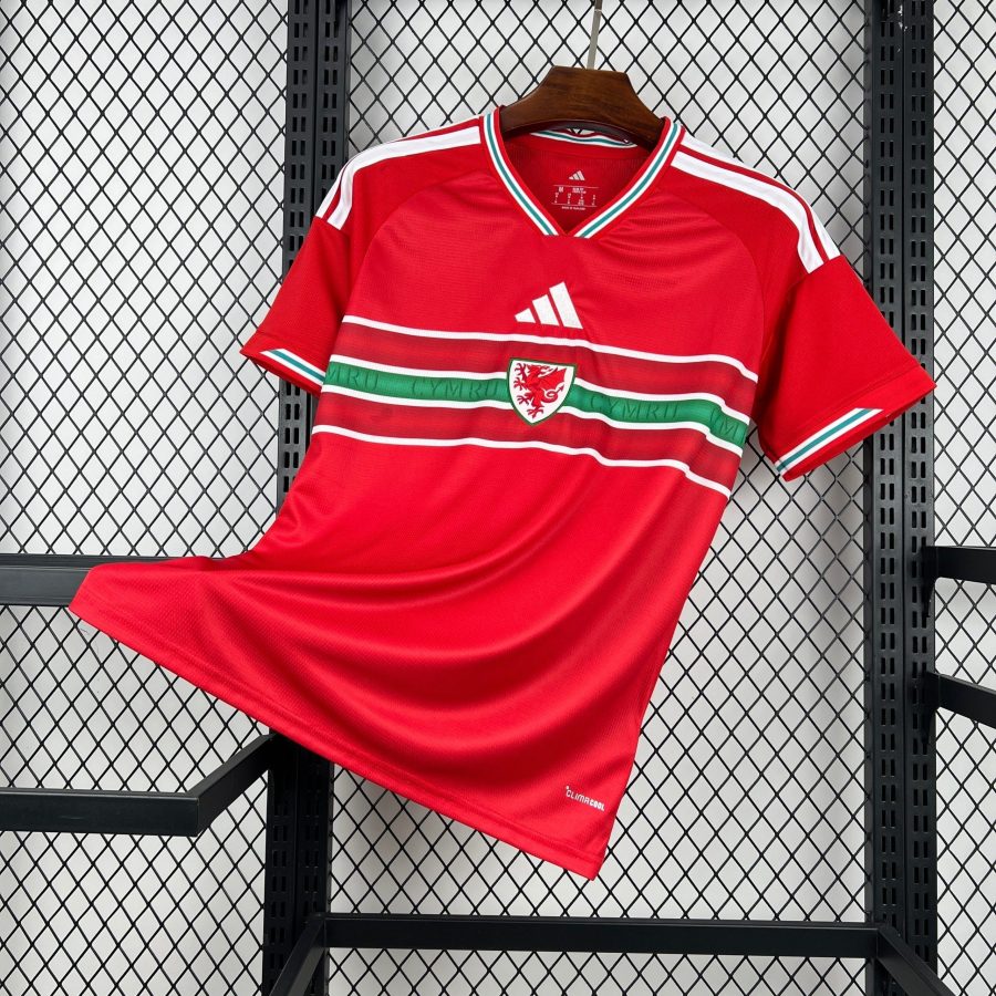 Wales Heim 2026 Trikot