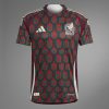 Mexiko Heimtrikot 2024