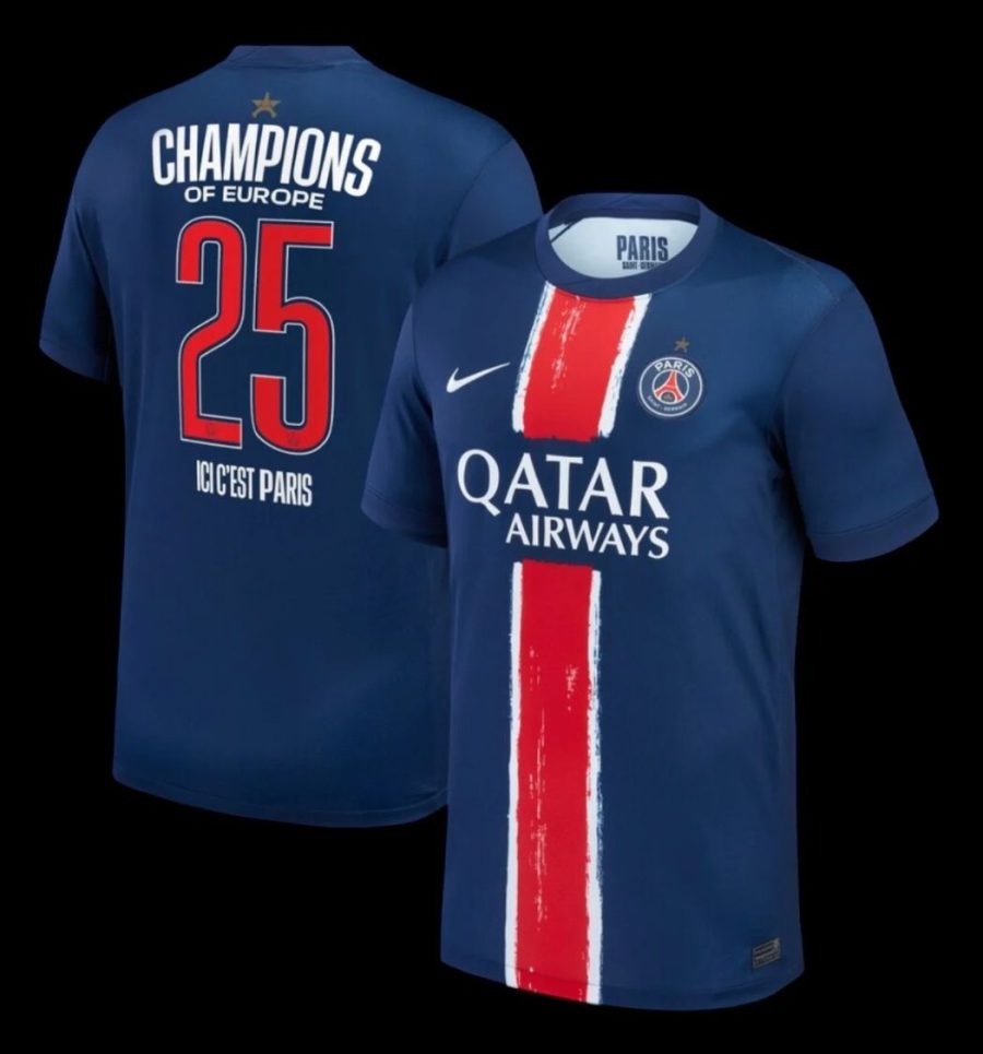 PSG COLLECTOR HEIMTRIKOT 20242025