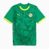 Senegal Auswärts 2024/2025 Trikot