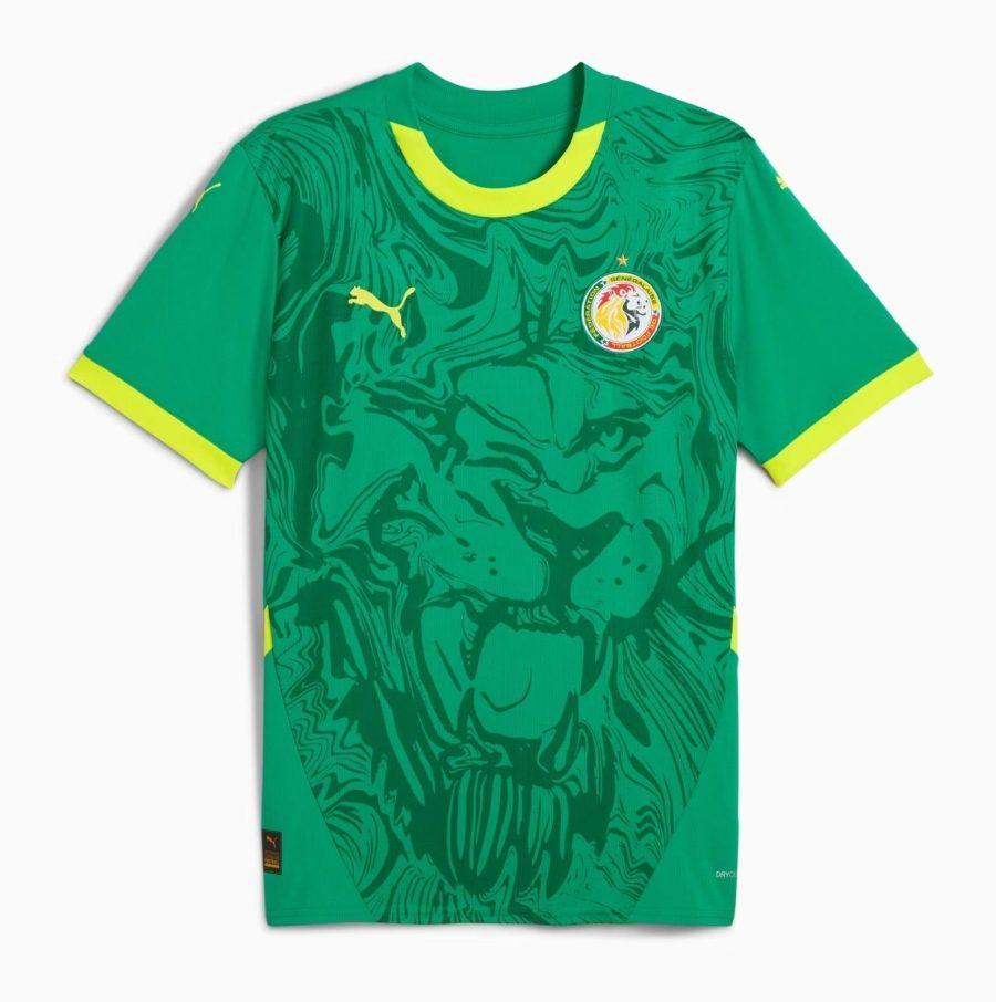 Senegal Auswärts 2024/2025 Trikot
