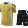 TRIKOT + SHORTS ARGENTINIEN 20242025