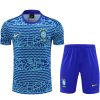 TRIKOT + SHORTS BRASILIEN 20242025