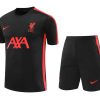 Trikot + Short Liverpool 2024/25