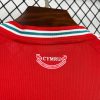 Wales Fan Trikot 2026 für Heimspiele