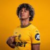 Wolverhampton Heimtrikot für Fans Kollektion 2024 2025