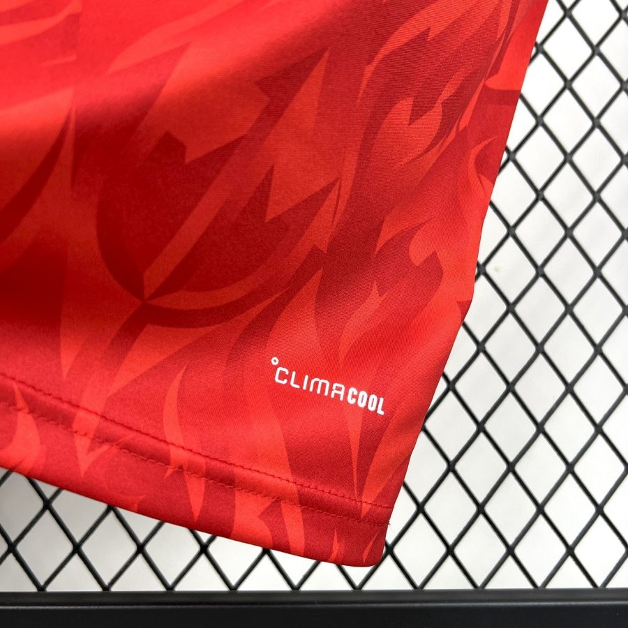 Offizielles Trikot Rote Teufel Belgien Heimversion 2026
