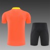 Brasilien Training Trikot 2026 Erwachsene