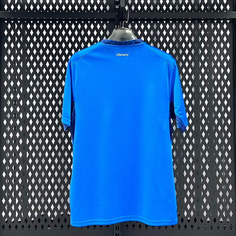 Trikot Island Heim 2025/26