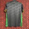 Venezia Heimtrikot 24/25 Spezial