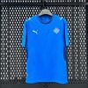 Trikot Island Heim 2025/26