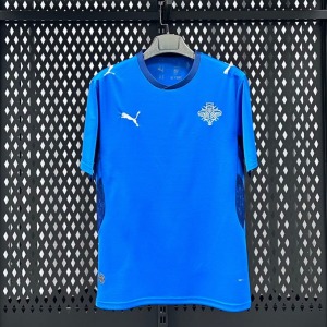 Trikot Island Heim 2025/26