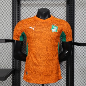 Trikot Côte d'Ivoire 2025/26 Player