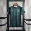 Italien Trikot 2023-2024 Sonderausgabe Grün