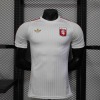 Lyon Concept Trikot 2025-26