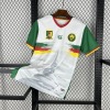 Kamerun Trikot CAN 2025-26
