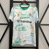 Real Betis Concept Trikot 2025-26