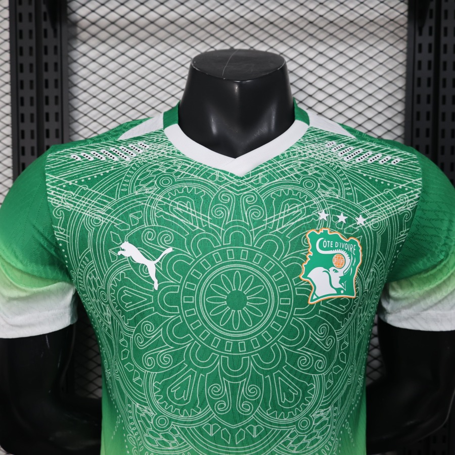 Elfenbeinküste Konzepttrikot 2026
