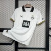 62A43A60-6D33-44B6-911C-E735C8E254D2.jpg BVB Dortmund Third Trikot 2024/25