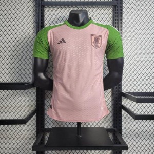 Japan Trikot 2023-2024 Heim