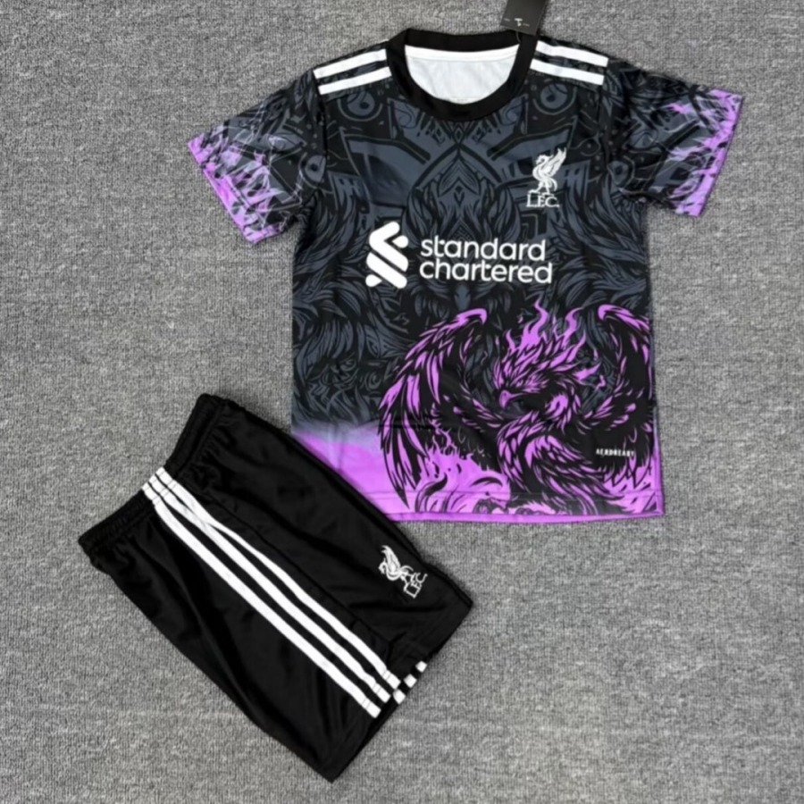 Liverpool Trikot Kinder 2025/26 Violett Spezial
