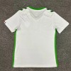AS Saint-Étienne Auswärtstrikot 2024-2025