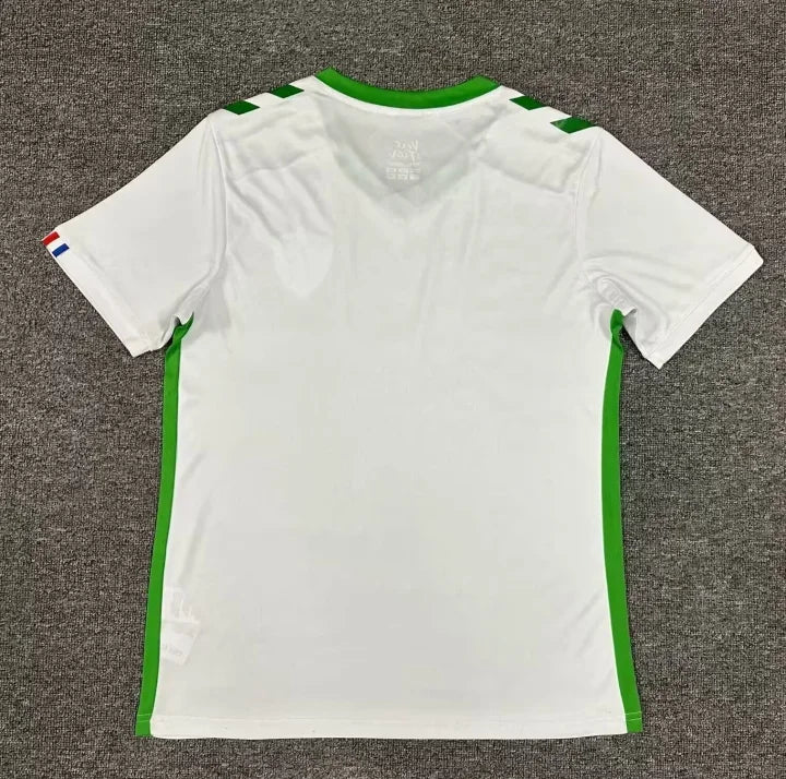 AS Saint-Étienne Auswärtstrikot 2024-2025