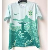 Brasilien Trikot 25/26 Sonderedition Grün