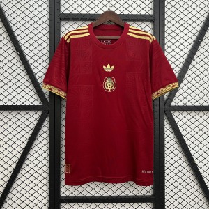Mexiko Concept Trikot Rot 2025
