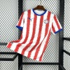 Paraguay Trikot WM 2026