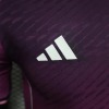 Japan Concept Trikot 2024 Lila