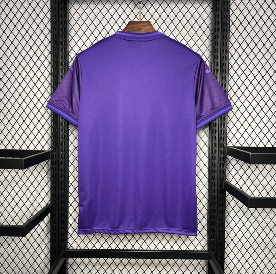 Anderlecht Heimtrikot 2024/25