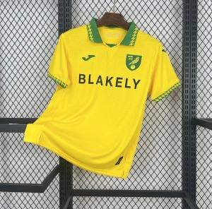 CB47C772-BEDE-4B04-AC11-851226EE6815.jpg Norwich City Heimtrikot 2025/26