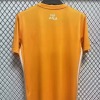 Algerien Trikot 2024/2025 Concept Orange