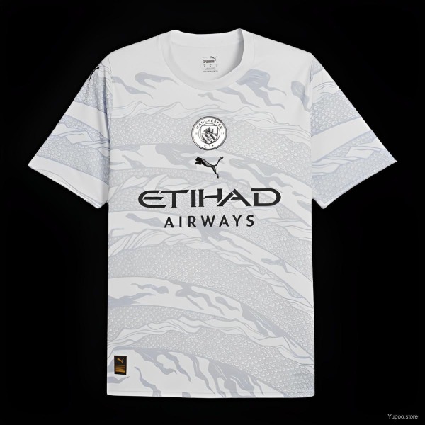 Manchester City Trikot 2024/25 Dragon