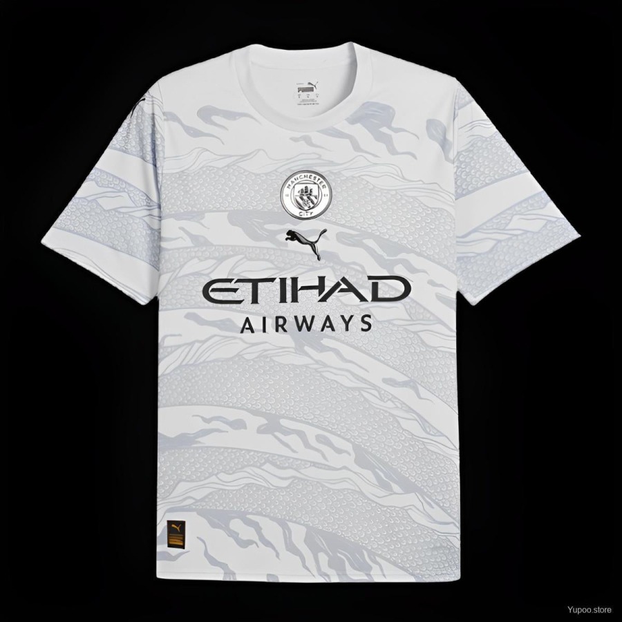 Manchester City Trikot 2024/25 Dragon
