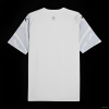 Manchester City Trikot 2024/25 Dragon