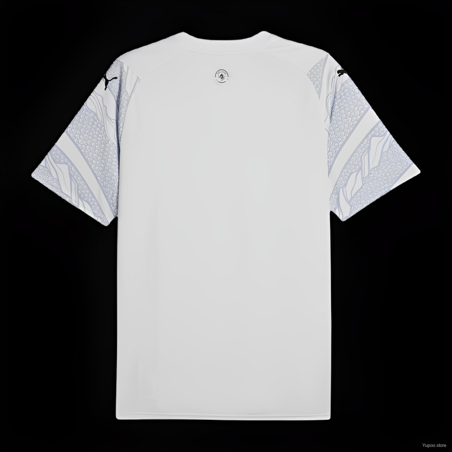 Manchester City Trikot 2024/25 Dragon