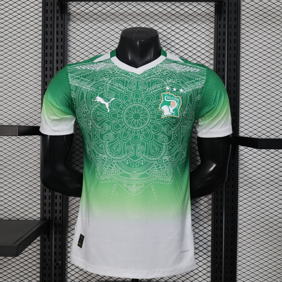 Elfenbeinküste Konzepttrikot 2026