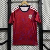 Costa Rica Heimtrikot 2025/26