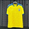 Ukraine Heimtrikot 2025/26