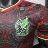 Mexiko Concept Trikot 2026