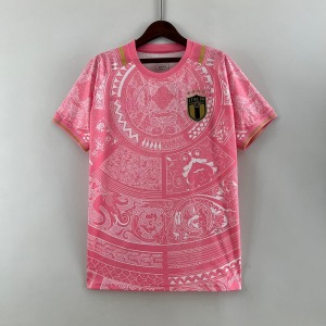 beb12b331bf1ecee4a6fdf8f6b704d62.jpg Italien Trikot 24/25 Rosa Sonderedition