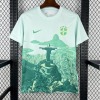 Brasilien Trikot 25/26 Sonderedition Grün