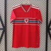 Wales Trikot Heim 2025/26