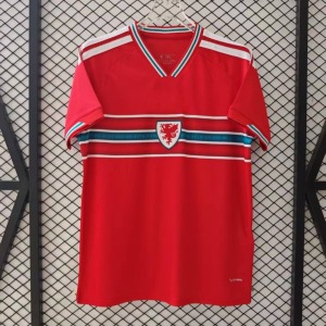 Wales Trikot Heim 2025/26