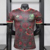 Mexiko Concept Trikot 2026