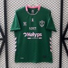 Saint-Étienne Trikot 25/26 Sonderedition