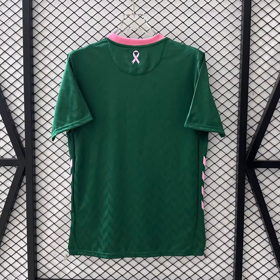 Saint-Étienne Trikot 25/26 Sonderedition